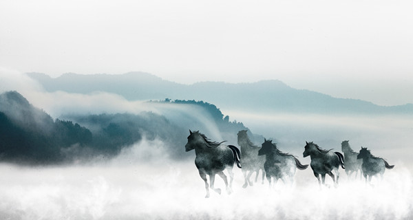 企業(yè)戰(zhàn)略規(guī)劃：為企業(yè)制定全面、長遠的發(fā)展戰(zhàn)略