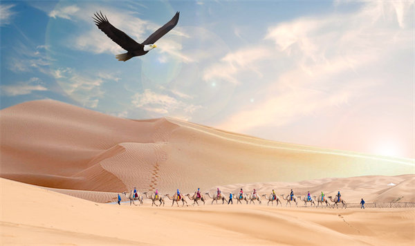 集團(tuán)管控升級(jí)迭代，激發(fā)企業(yè)活力，實(shí)現(xiàn)持續(xù)領(lǐng)先