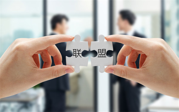 戰(zhàn)略聯(lián)盟與合作：強強聯(lián)手，共創(chuàng)未來