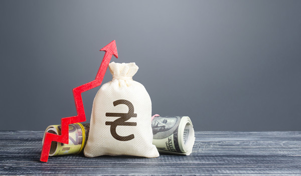 預算管理中的風險評估與應對策略有哪些？