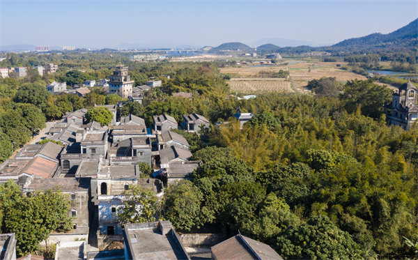 江門管理咨詢公司如何定制高效解決方案？