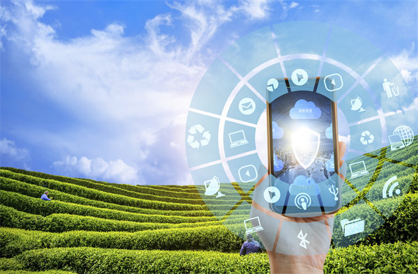 在精益轉(zhuǎn)型中，如何平衡標(biāo)準(zhǔn)化作業(yè)與靈活性需求？