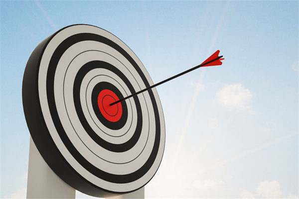 如何通過集團管控，提升整體運營效率與競爭力？