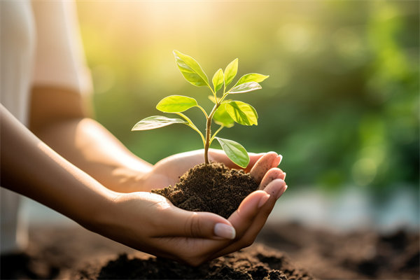 可持續(xù)發(fā)展成為趨勢，企業(yè)如何融入綠色戰(zhàn)略以促增長？