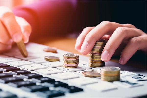 預算分析過程中，如何識別并糾正數據偏差，確保準確性？