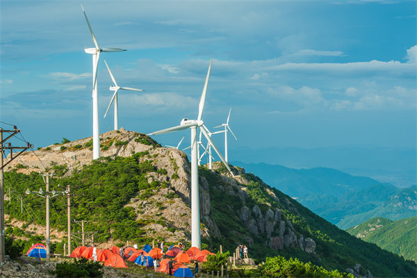 臺州組織規劃咨詢公司如何設計高效企業組織架構？