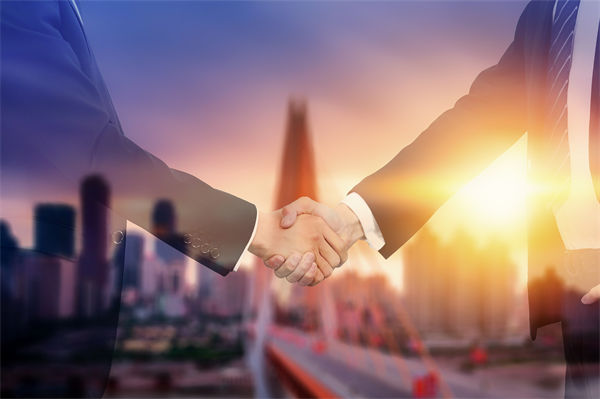 品牌戰略管理中，如何有效應對市場變化與消費者需求？