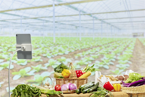 面對市場變化，您的營銷團隊是否足夠靈活應變？