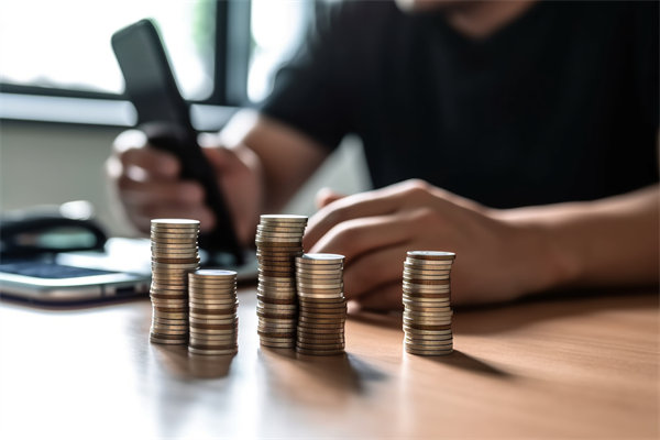 預算過程監(jiān)管缺，如何有效強化預算全程的管控力度？