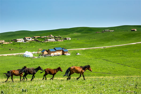 飛新疆的機票價格漲爆了，什么情況？是營銷炒作？