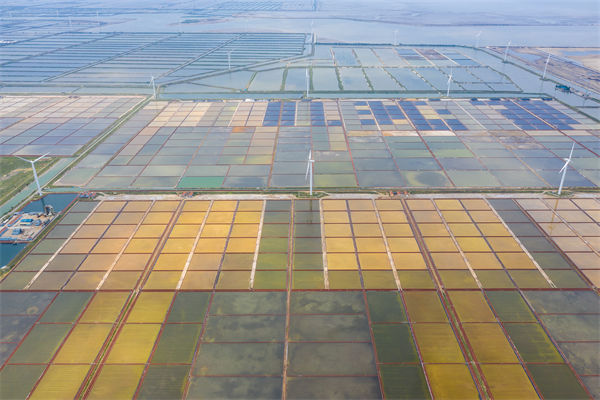 濰坊制造業(yè)招工難留人更難，濰坊人力資源咨詢公司如何破局用工困局？