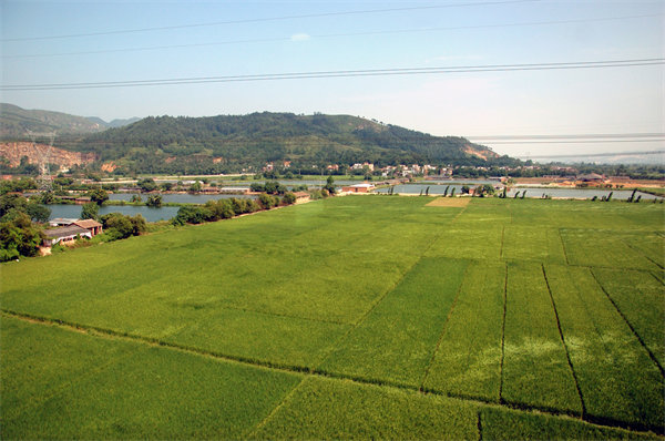 清遠人力資源咨詢公司量體裁衣，如何激活企業人才發展新動能？