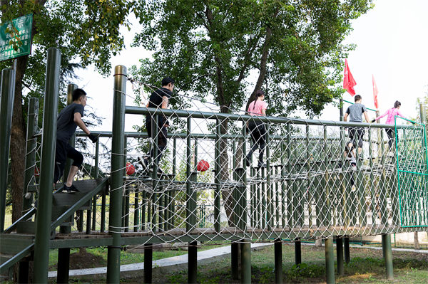 文化活動形式豐富多樣，組織凝聚力提升為何緩慢？