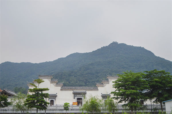 子公司各自為戰(zhàn)內(nèi)耗大，佛山集團(tuán)管控咨詢(xún)公司有何整合之道？