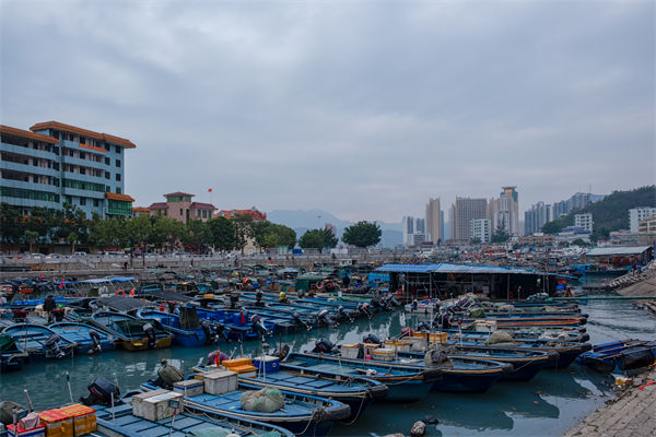 精益生產(chǎn)分析：開(kāi)海第一網(wǎng)撈8000斤，船長(zhǎng)合不攏嘴