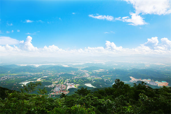 企業(yè)戰(zhàn)略飄在半空落地難，惠州戰(zhàn)略咨詢公司能錨定方向嗎？