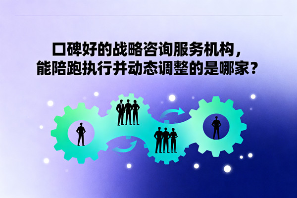 口碑好的戰(zhàn)略咨詢服務(wù)機構(gòu)，能陪跑執(zhí)行并動態(tài)調(diào)整的是哪家？