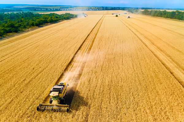 農(nóng)業(yè)行業(yè)供應(yīng)鏈管理咨詢公司推薦，能解農(nóng)資采購(gòu)成本高問(wèn)題嗎？