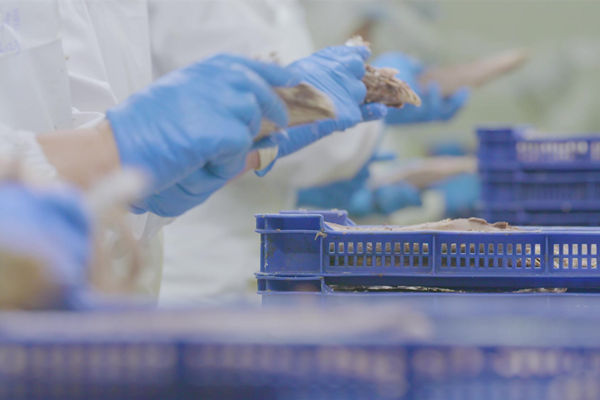 本土駐廠精益生產咨詢哪家強，能快速提升產線流轉效率么？