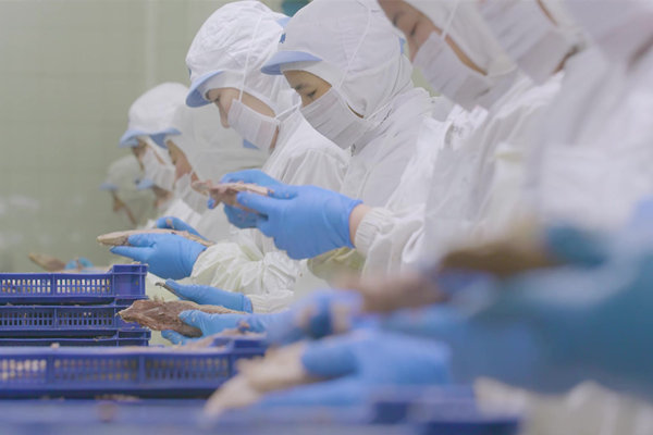 制造業薪酬績效咨詢公司哪家好，產線效率提升如何掛鉤？