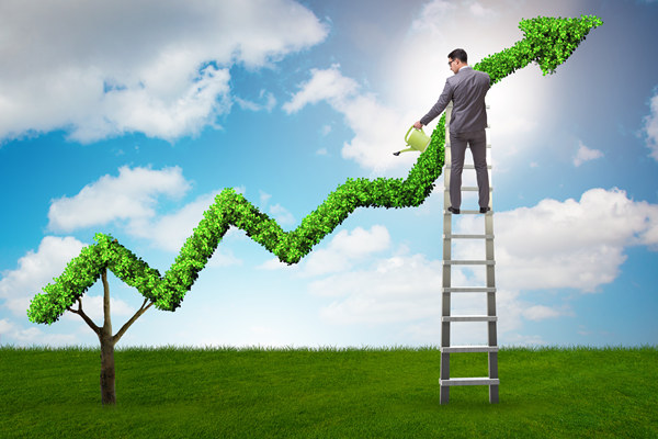 哪個戰(zhàn)略咨詢公司口碑最好，能精準定企業(yè)長效發(fā)展戰(zhàn)略？